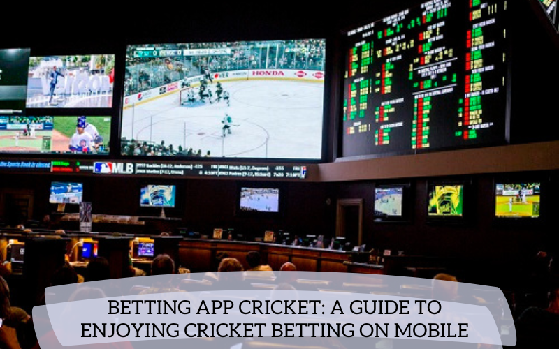 betting app cricket